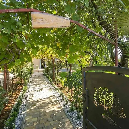 Oliva Holiday home